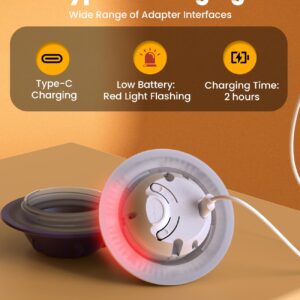 Smart Dog Ball Toy