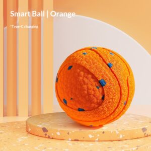 Balle Interactive Chien LED Auto-Rolling | Smart Dog Ball Toy