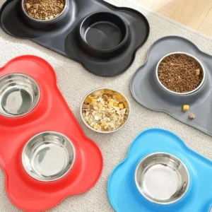 Double Bol Surélevé Chat Inox Anti-Vomissement | Elevated Cat Bowls