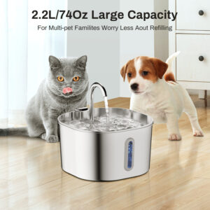 Bouteille Eau Chien Portable 550ml Pliable | Dog Travel Water Bottle