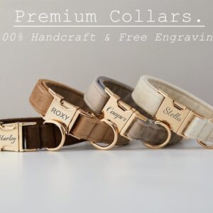 Collars & GPS