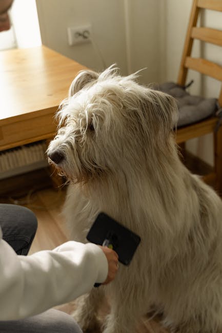 Brosse Auto-Nettoyante Chat Chien Anti-Noeuds | Self-Cleaning Pet Brush