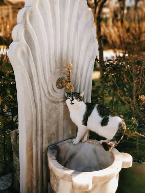 Fontaine Jardin Solaire Céramique Chat Chien | Solar Pet Fountain