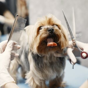 Gant Toilettage Massage Chat Chien Paire | Pet Grooming Glove Set