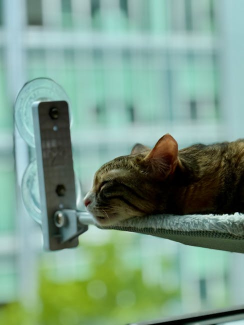 Hamac Chat Fenêtre Ventouse 20kg + Housse Hiver | Window Cat Hammock