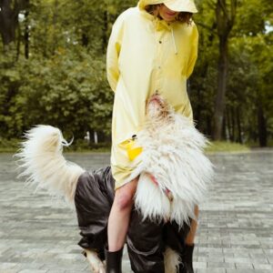 Imperméable Chien Réfléchissant Capuche S-XL | Waterproof Dog Raincoat