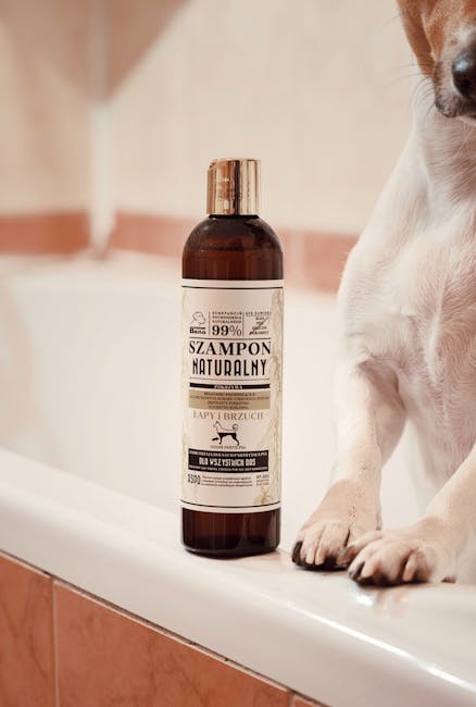 Kit Bain Bio Chat Chien : Shampooing + Gant + Serviette | Pet Bath Kit