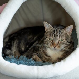 Lit Chat Cocon Chauffant USB Peluche | Heated Cat Bed