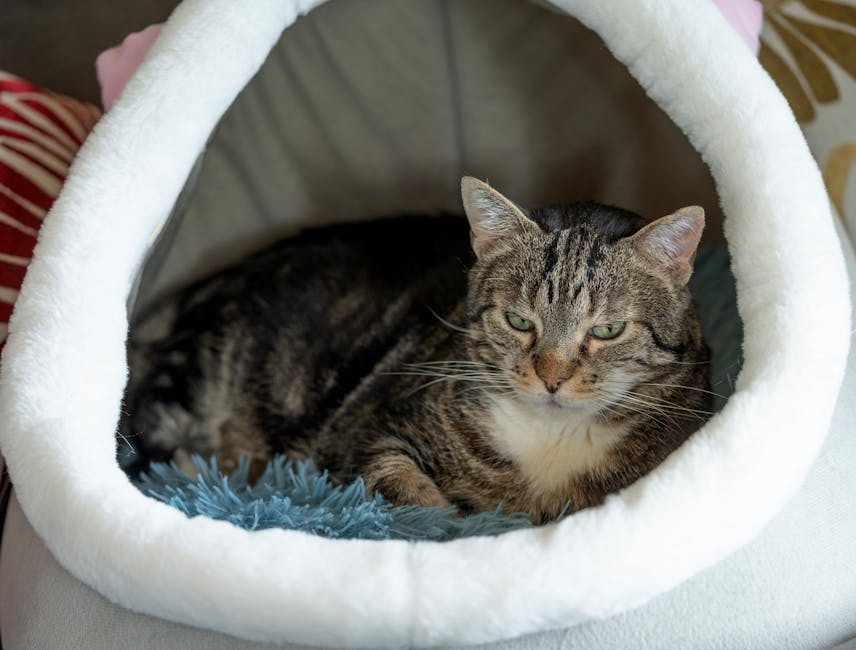 Lit Chat Cocon Chauffant USB Peluche | Heated Cat Bed