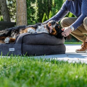 Lit Orthopédique Chien Mousse Mémoire L 90x70cm | Memory Foam Dog Bed