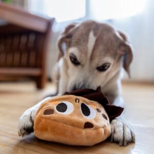 Lot 5 Peluches Couineuses Chien Résistantes | Squeaky Dog Toy Set