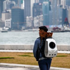 Sac à Dos Bulle Chat Chien Panoramique | Bubble Pet Backpack