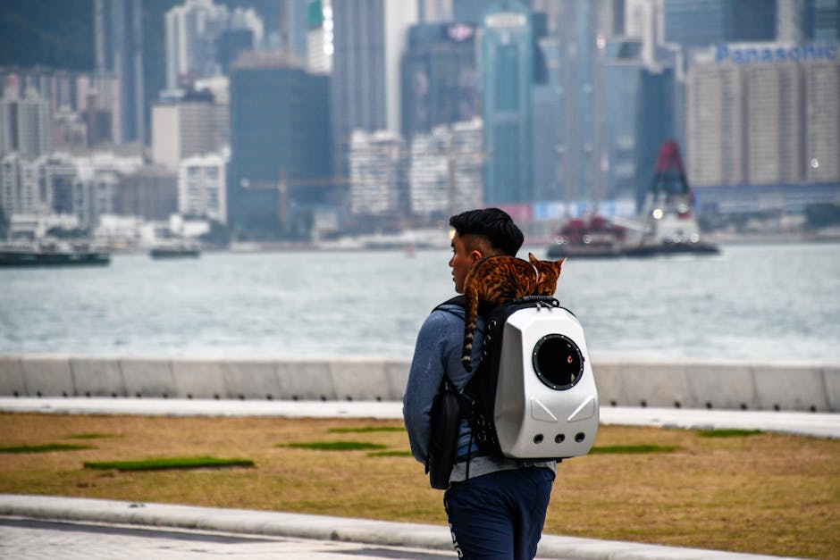 Sac à Dos Bulle Chat Chien Panoramique | Bubble Pet Backpack