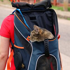 Sac Transport Chat Avion Cabine Extensible | Airline Approved Cat Carrier