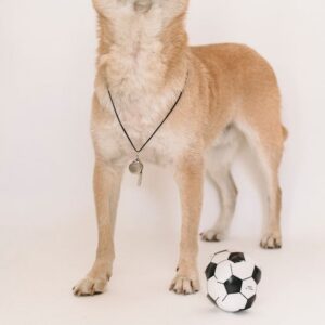 Sifflet Ultrason Chien Dressage Pro Réglable | Dog Training Whistle