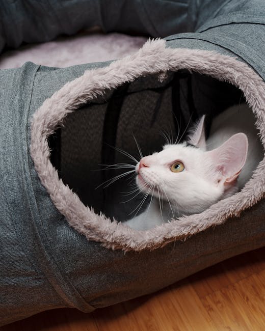 Tunnel Chat Pliable 3 Voies Crinkle | Cat Play Tunnel